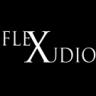 Flex Audio